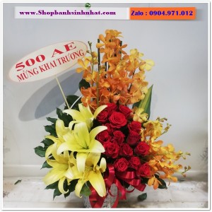 Hoa Tươi Tặng Khai Trương - OK100